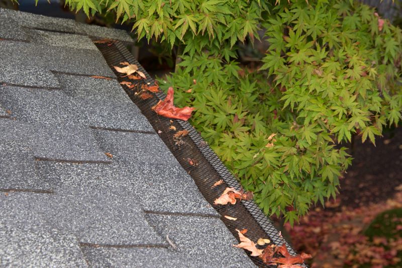 Gutter Cap Installation Service
